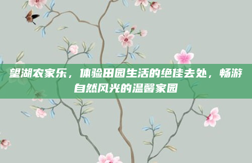 望湖农家乐,体验田园生活的绝佳去处,畅游自然风光的温馨家园
