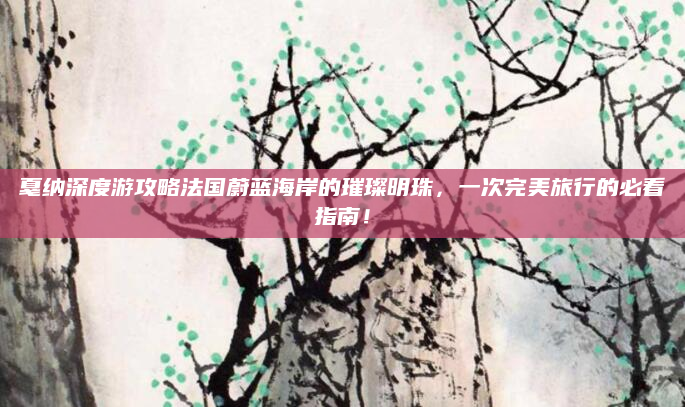 戛纳深度游攻略法国蔚蓝海岸的璀璨明珠,一次完美旅行的必看指南!