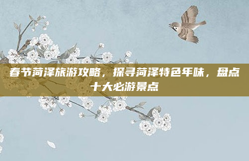 春节菏泽旅游攻略,探寻菏泽特色年味,盘点十大必游景点