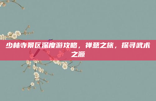 少林寺景区深度游攻略，禅意之旅，探寻武术之源