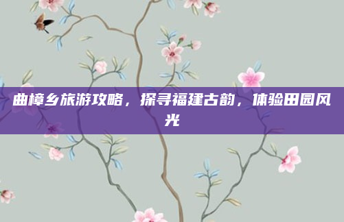 曲樟乡旅游攻略,探寻福建古韵,体验田园风光