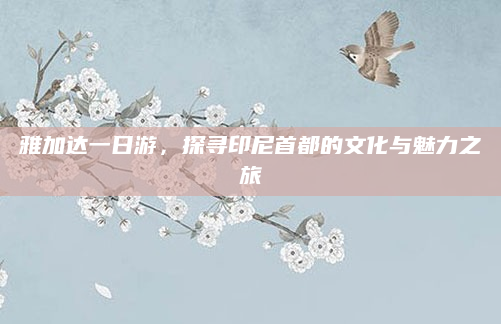 雅加达一日游,探寻印尼首都的文化与魅力之旅
