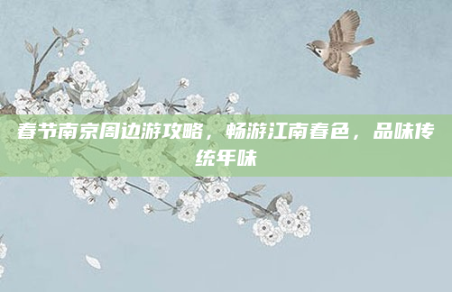 春节南京周边游攻略,畅游江南春色,品味传统年味