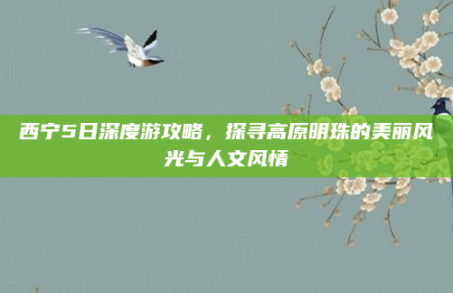 西宁5日深度游攻略,探寻高原明珠的美丽风光与人文风情