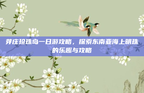 芽庄珍珠岛一日游攻略,探索东南亚海上明珠的乐趣与攻略