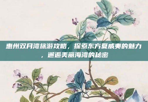 惠州双月湾旅游攻略,探索东方夏威夷的魅力,邂逅美丽海湾的秘密