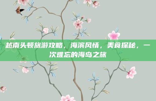 越南头顿旅游攻略,海滨风情,美食探秘,一次难忘的海岛之旅