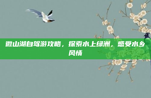 微山湖自驾游攻略,探索水上绿洲,感受水乡风情