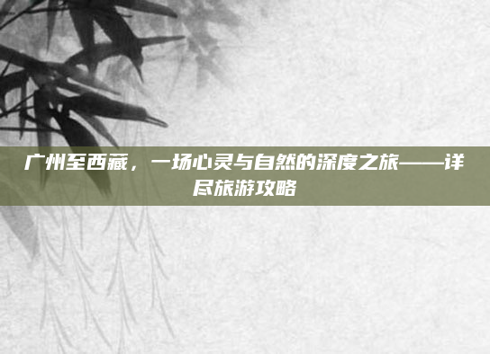 广州至西藏，一场心灵与自然的深度之旅——详尽旅游攻略