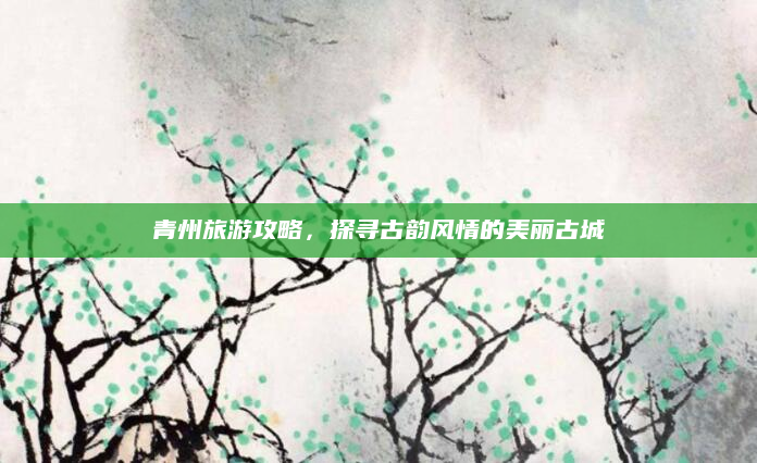 青州旅游攻略，探寻古韵风情的美丽古城