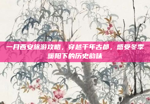 一月西安旅游攻略,穿越千年古都,感受冬季暖阳下的历史韵味
