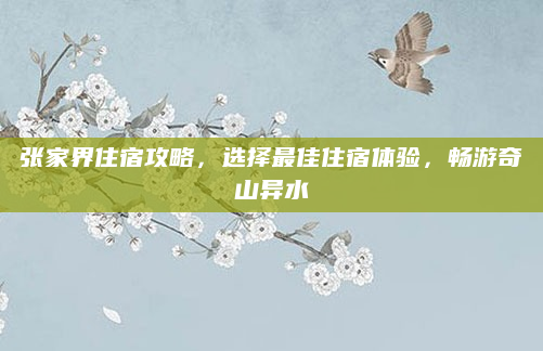 张家界住宿攻略,选择最佳住宿体验,畅游奇山异水