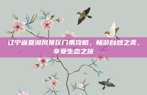 辽宁省夏湖风景区门票攻略,畅游自然之美,享受生态之旅