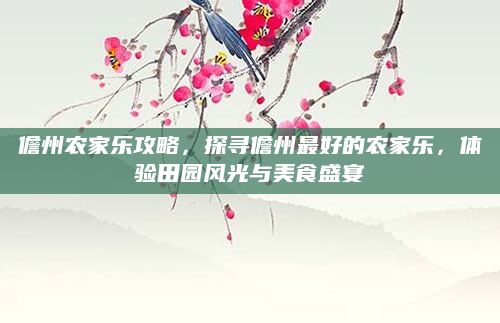 儋州农家乐攻略,探寻儋州最好的农家乐,体验田园风光与美食盛宴
