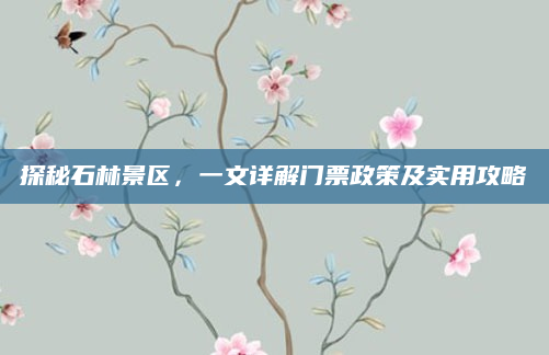探秘石林景区,一文详解门票政策及实用攻略