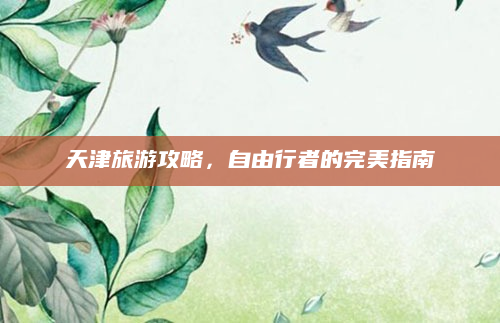 天津旅游攻略，自由行者的完美指南