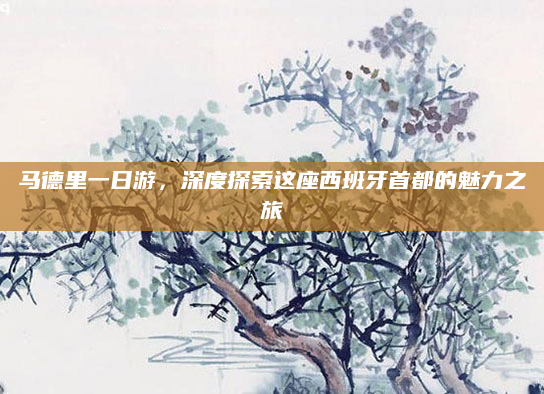马德里一日游,深度探索这座西班牙首都的魅力之旅