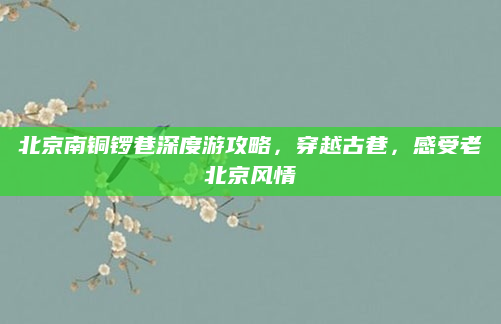 北京南铜锣巷深度游攻略,穿越古巷,感受老北京风情