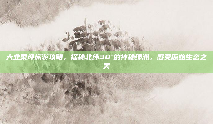 大韭菜坪旅游攻略,探秘北纬30°的神秘绿洲,感受原始生态之美