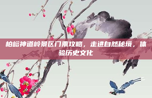 柏峪神道岭景区门票攻略,走进自然秘境,体验历史文化