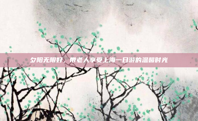 夕阳无限好,带老人享受上海一日游的温馨时光