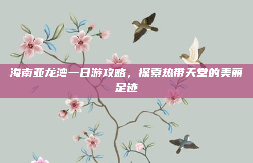 海南亚龙湾一日游攻略,探索热带天堂的美丽足迹