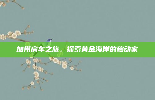 加州房车之旅,探索黄金海岸的移动家