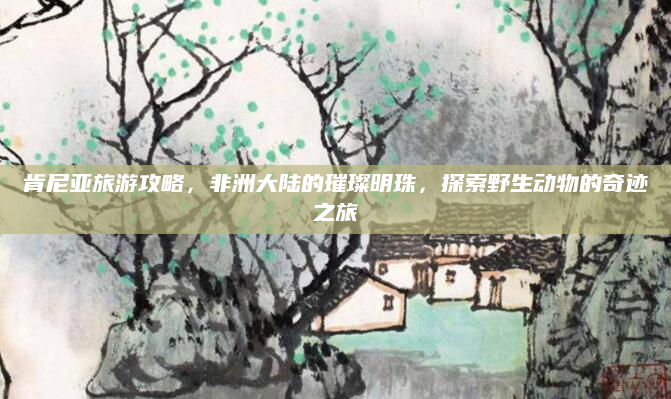 肯尼亚旅游攻略，非洲大陆的璀璨明珠，探索野生动物的奇迹之旅