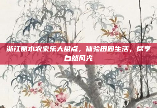 浙江丽水农家乐大盘点,体验田园生活,尽享自然风光
