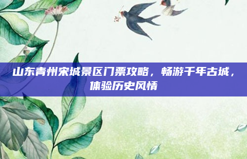 山东青州宋城景区门票攻略,畅游千年古城,体验历史风情