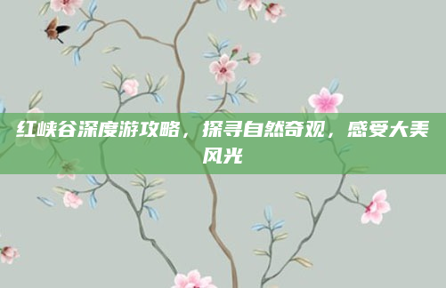 红峡谷深度游攻略,探寻自然奇观,感受大美风光