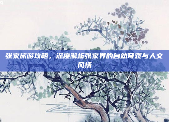 张家旅游攻略,深度解析张家界的自然奇观与人文风情