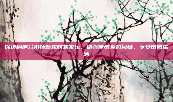 探访桐庐分水镇新龙村农家乐,体验传统乡村风情,享受田园生活