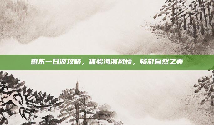 惠东一日游攻略,体验海滨风情,畅游自然之美