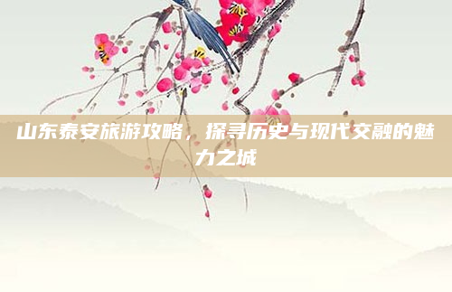 山东泰安旅游攻略,探寻历史与现代交融的魅力之城