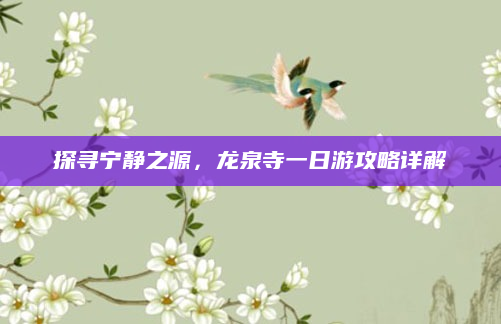 探寻宁静之源,龙泉寺一日游攻略详解