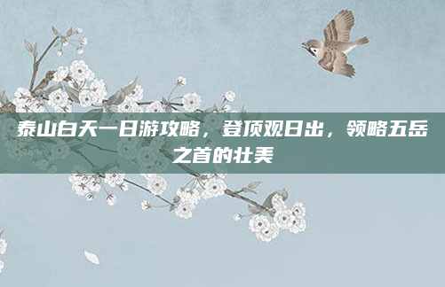 泰山白天一日游攻略,登顶观日出,领略五岳之首的壮美