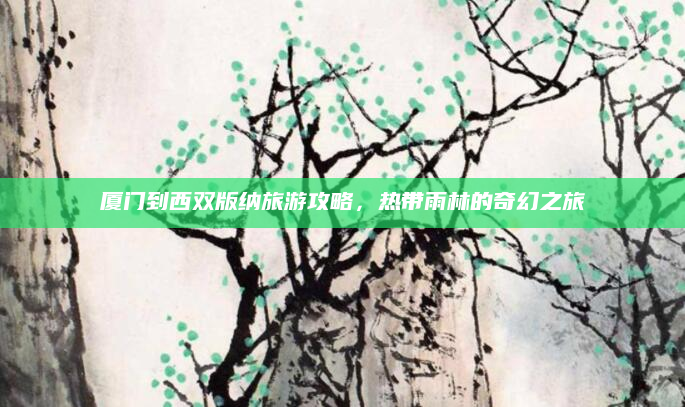 厦门到西双版纳旅游攻略,热带雨林的奇幻之旅