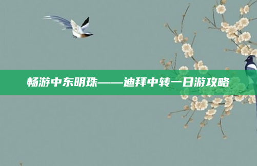 畅游中东明珠——迪拜中转一日游攻略