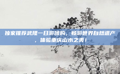 独家推荐武隆一日游团购,畅游世界自然遗产,体验重庆山水之美!