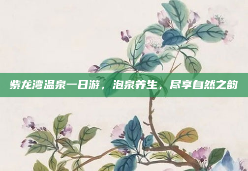 紫龙湾温泉一日游，泡泉养生，尽享自然之韵