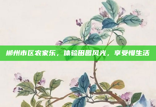 郴州市区农家乐,体验田园风光,享受慢生活