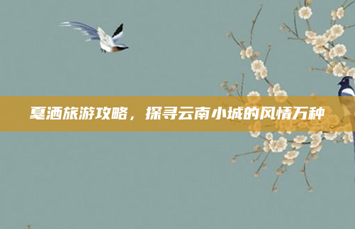 戛洒旅游攻略,探寻云南小城的风情万种