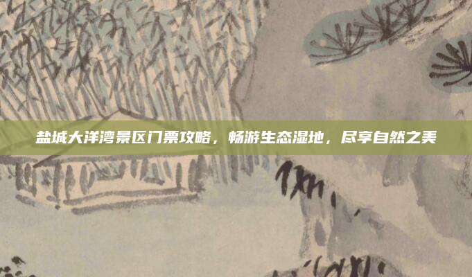 盐城大洋湾景区门票攻略,畅游生态湿地,尽享自然之美
