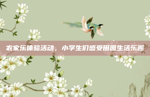 农家乐体验活动,小学生们感受田园生活乐趣