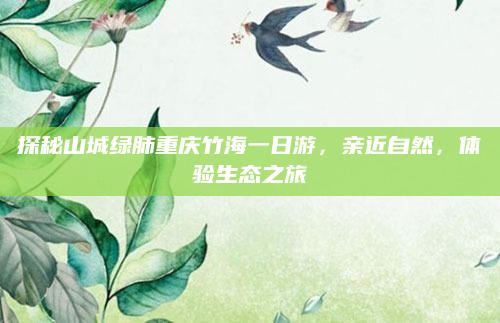 探秘山城绿肺重庆竹海一日游,亲近自然,体验生态之旅