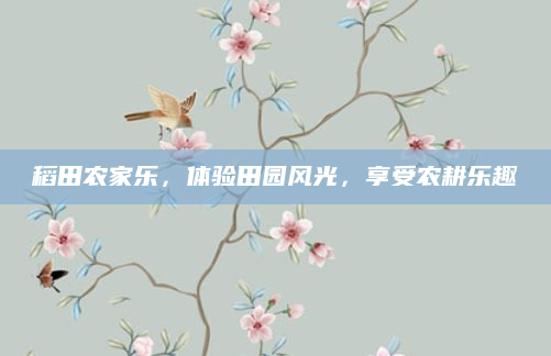 稻田农家乐,体验田园风光,享受农耕乐趣