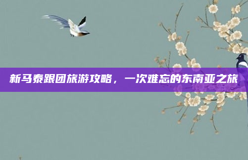 新马泰跟团旅游攻略,一次难忘的东南亚之旅