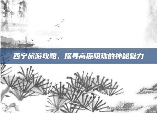 西宁旅游攻略,探寻高原明珠的神秘魅力