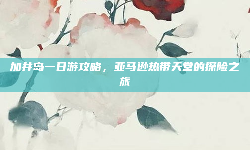 加井岛一日游攻略,亚马逊热带天堂的探险之旅